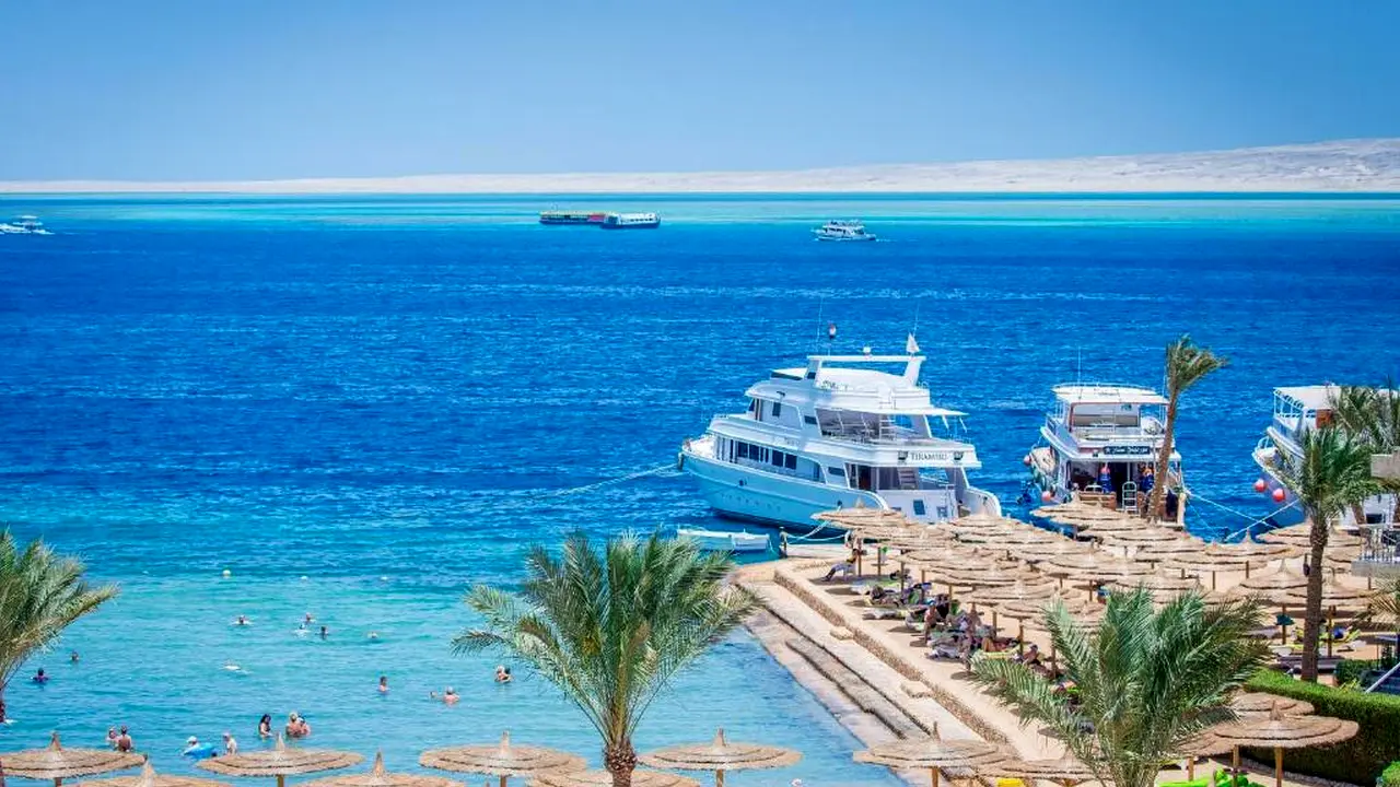 الفندق سي جل بيتش ريزورت - الغردقة